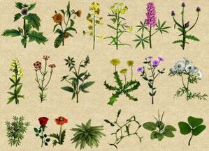 Folk Remedies géint Alkoholismus